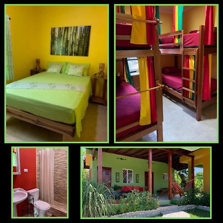 Green Queendom Farm And Lodging Oracabessa Kültér fotó