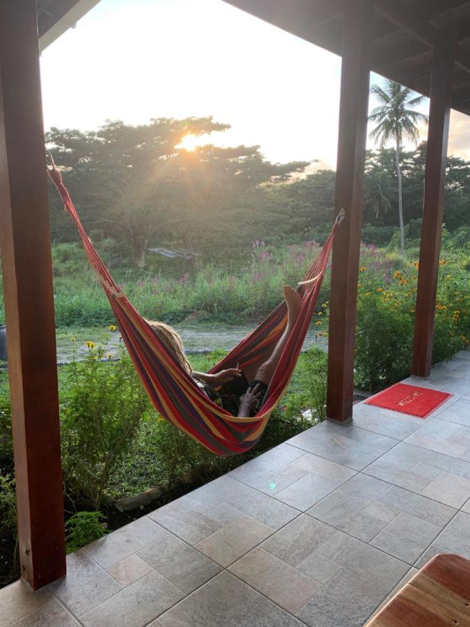 Green Queendom Farm And Lodging Oracabessa Kültér fotó