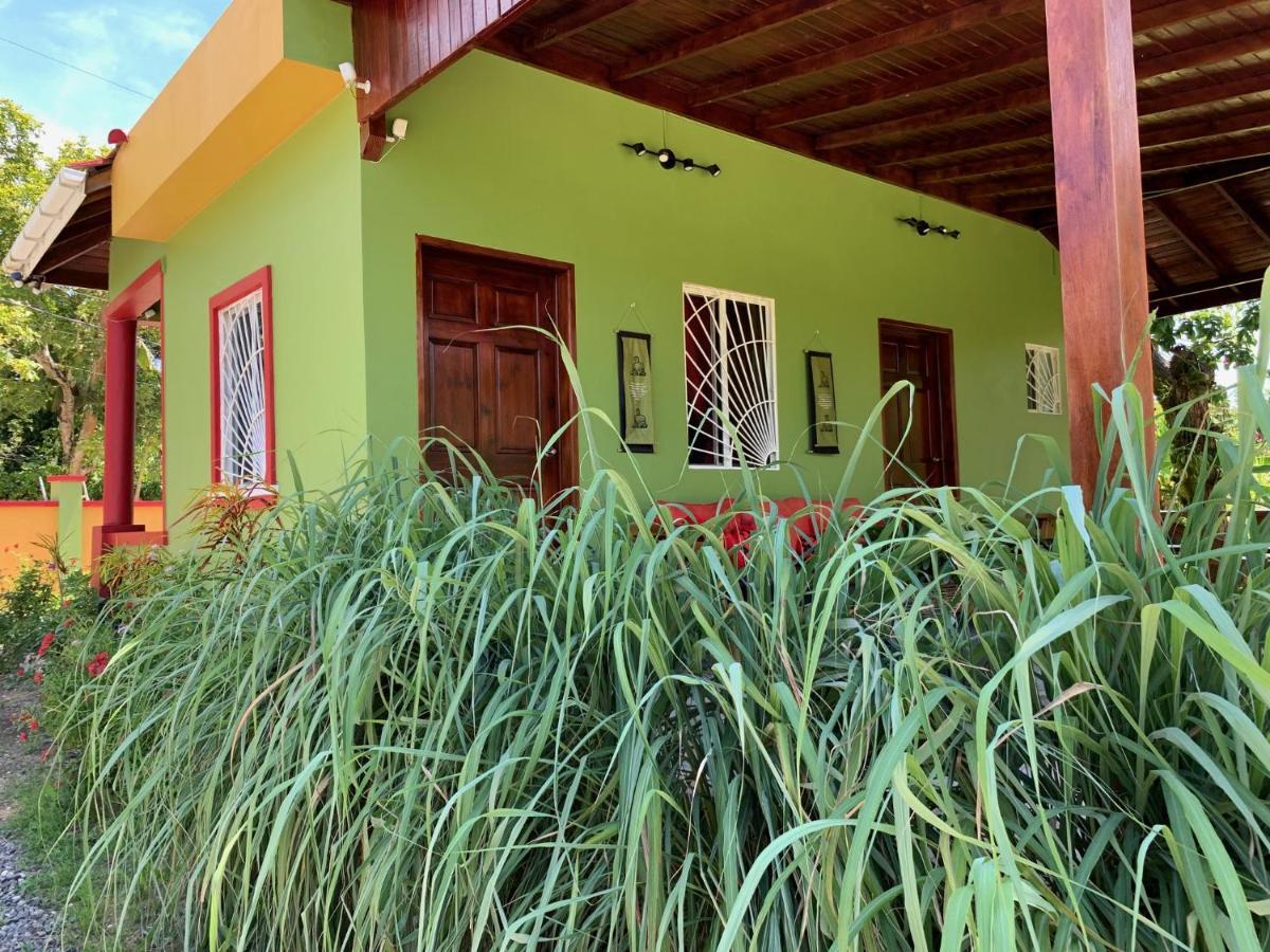 Green Queendom Farm And Lodging Oracabessa Kültér fotó